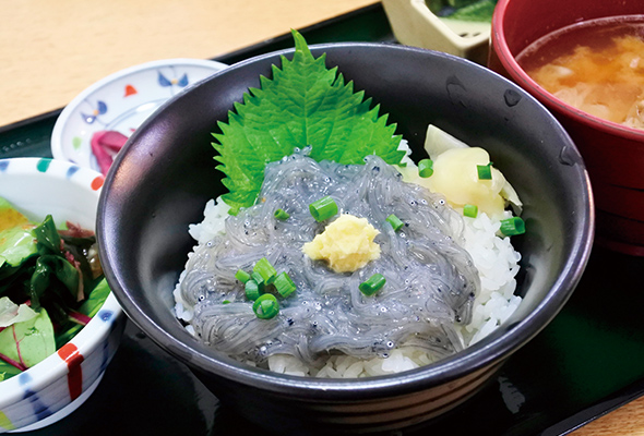 名取市 北限のしらす