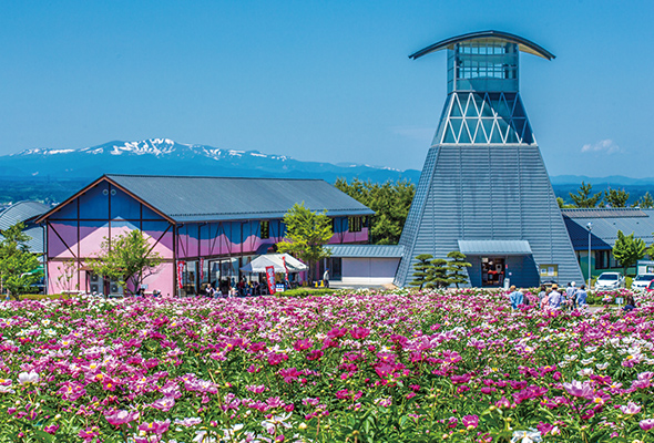 色麻町 愛宕山公園