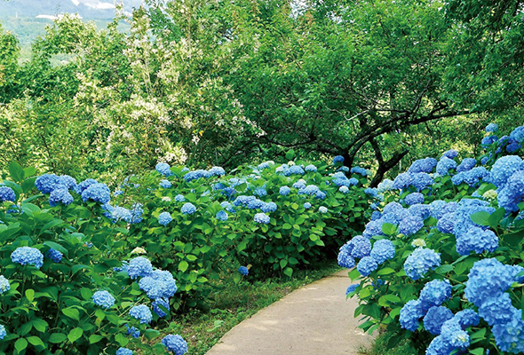 柴田町 船岡城址公園