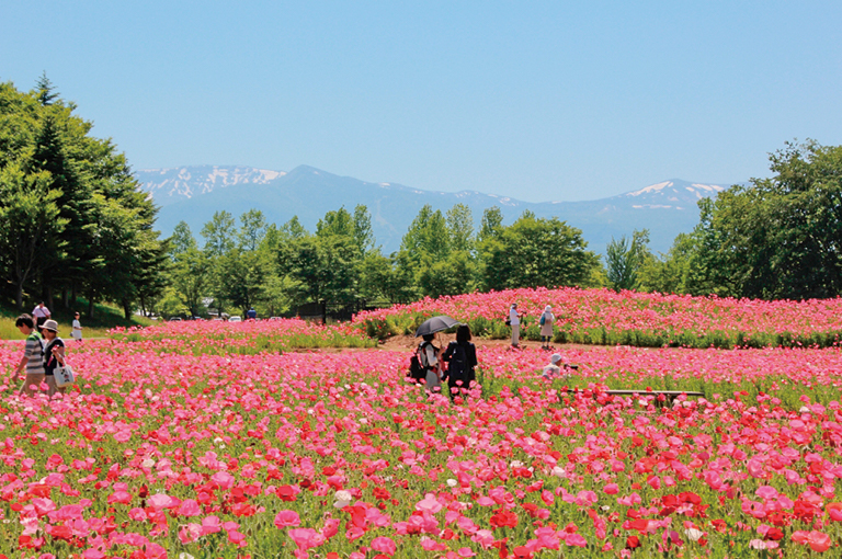 川崎町 国営みちのく杜の湖畔公園