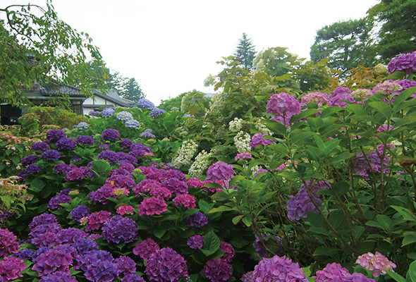 美里町 山神社