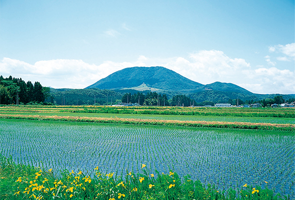 加美町 薬萊山