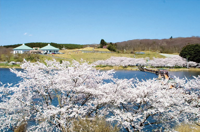 登米市 平筒沼ふれあい公園