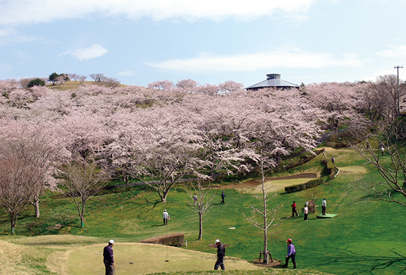 大崎市 加護坊山