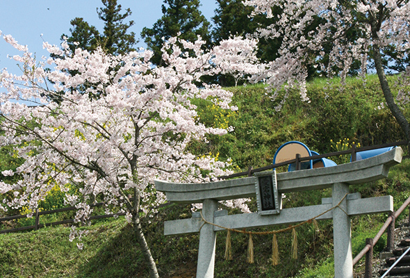 大郷町 築館公園