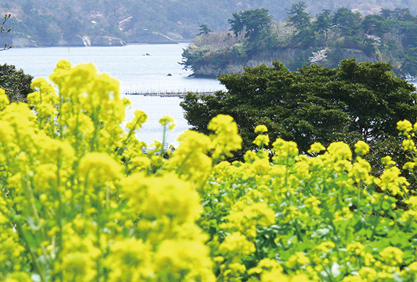 塩竈市 浦戸諸島