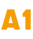 A1