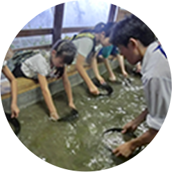 天平ろまん館