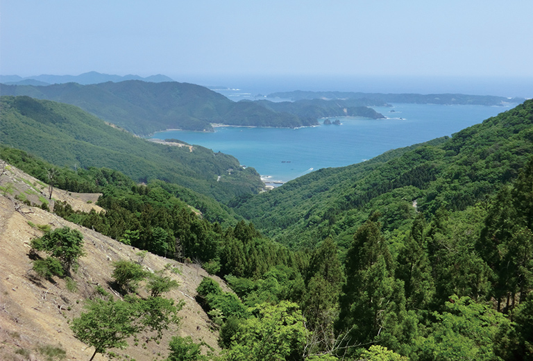 女川町 みちのく潮風トレイル女川ルート