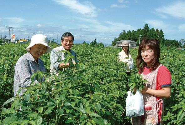 大郷町 パストラル縁の郷