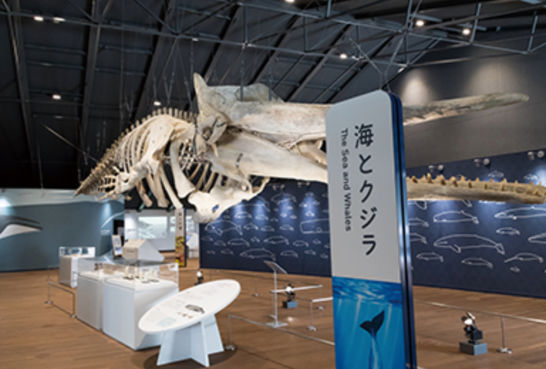 石巻市 ホエールタウンおしか