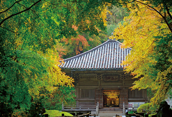 松島町 円通院
