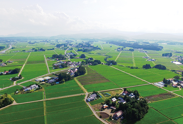 大崎地域 大崎耕土