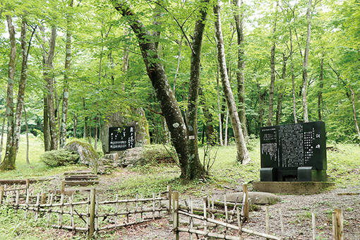 青根自然の森公園