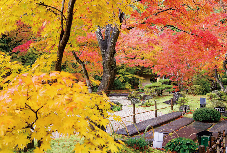 松島町 円通院