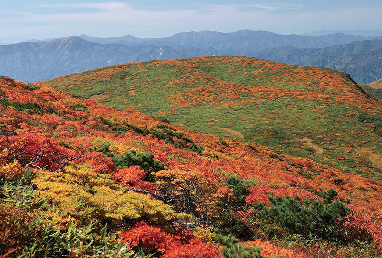 栗原市 栗駒山