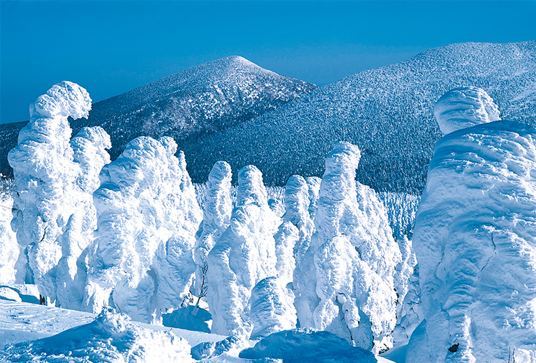 蔵王町 みやぎ蔵王の樹氷