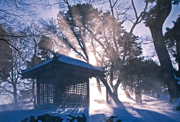 多賀城市 雪の壺碑